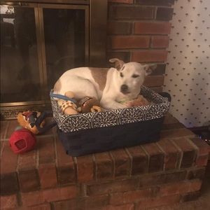 Meet your Posher, Cheryl